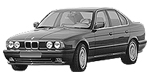 BMW E34 P1008 Fault Code